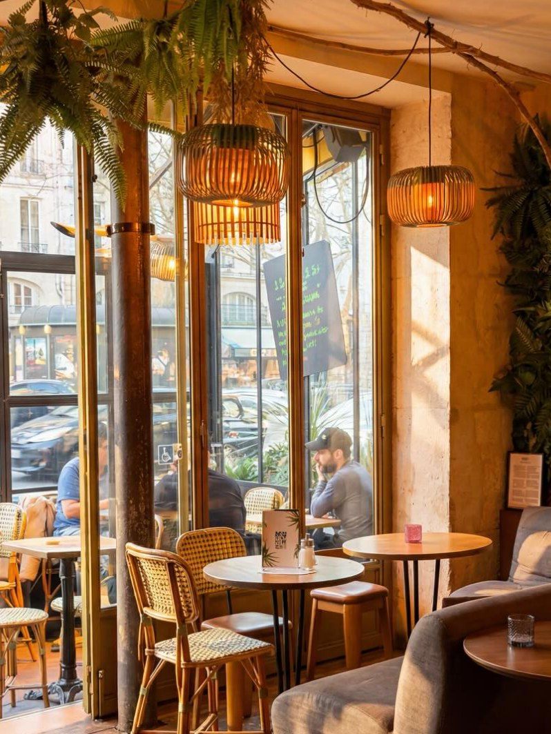 La salle du Néo Café : grande baie vitrée sur le boulevard Saint-Germain, suspensions en rotin, plantes vertes et chaises de bistrot